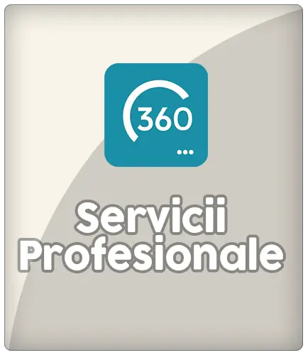 Analiza 360 pentru servicii profesionale: AI specializat pe facturare și clienți recurenți
